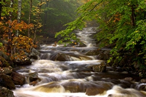 Images Dated 9th October 2005: USA, Vermont, East Arlington, Stream