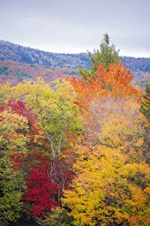 USA, Vermont, Fall foliage in Green Mountains at Bread Loaf, owned by Middlebury College