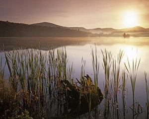 Images Dated 28th October 2009: USA, Vermont, Gifford Woods State Park, Kent Lake, Sunrise