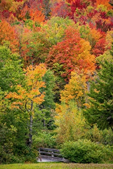 Kayak Prints: USA, Vermont, Granville. Fall foliage seen from Route 100 in Green Mountains