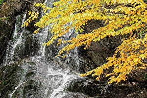 Vermont Prints: USA, Vermont, Granville. Moss Glen Falls on Route 100