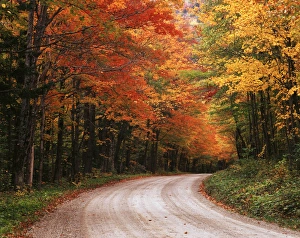 USA, Vermont, Green Mountain National Forest, Road through autumn trees