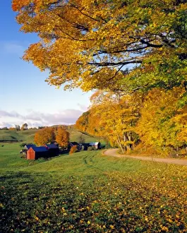 USA, Vermont, Jenne Farm. The idyllic Jenne Farm lies just around the bend, in