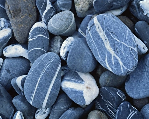 Lake Champlain Prints: USA, Vermont, Lake Champlain, Stones