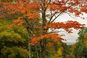 Vermont Prints: USA, Vermont, New England, Stowe Mt. Mansfield parking lot view