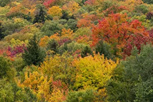 USA, Vermont, New England, Stowe Mt. Mansfield parking lot view