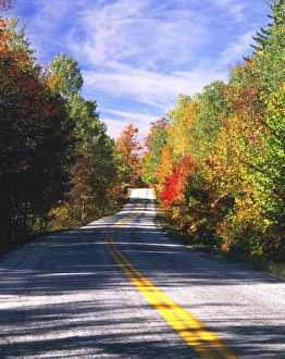 Images Dated 19th February 2013: USA, Vermont, Northeast Kingdom, View of country road through autumn trees