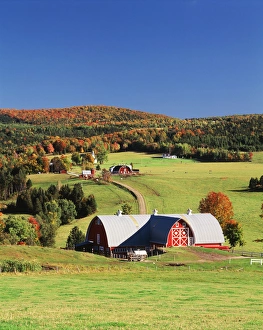 Farmhouse Prints: USA, Vermont, Northeast Kingdom, Barnet, View of farm in autumn