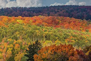 Vermont Prints: USA, Vermont, Peacham. Autumn forest landscape