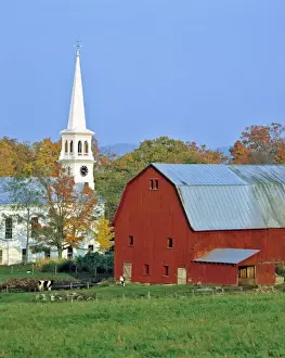 White Church Prints: USA, Vermont, Peacham. A red barn and white church contrast with the green pasture in Peacham