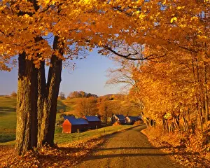 Images Dated 17th January 2013: USA, Vermont, South Woodstock. Scenic of road and Jenne Farm. Credit as: Steve Terrill
