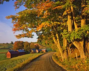 Images Dated 30th January 2013: USA, Vermont, South Woodstock. Scenic of road and Jenne Farm. Credit as: Steve Terrill
