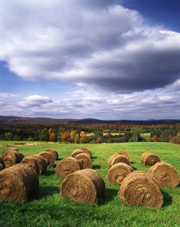 Bale Prints: USA, Vermont, Westmore, Hay bales in field