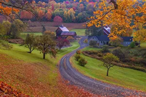 Vermont Prints: USA, Vermont, Woodstock. Winding road to Sleepy Hollow Farm in autumn