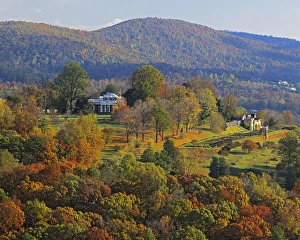 Thomas Jefferson Prints: USA, Virginia, Albemarle County, Autumn hills and Monticello