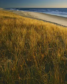 USA, Virginia, Assateague Island National Seashore