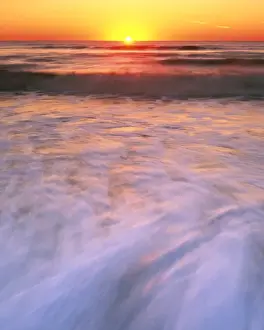 National Seashore Prints: USA, Virginia, Assateague Island National Seashore, Sunrise over Atlantic Ocean