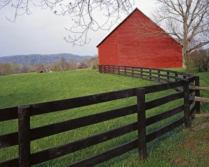 Charles Gurche Prints: USA, Virginia, Barn near Etlan
