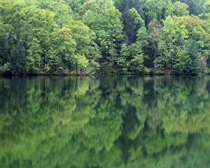USA, Virginia, Blue Ridge Mountains, Reflections in Charlottesville Lake