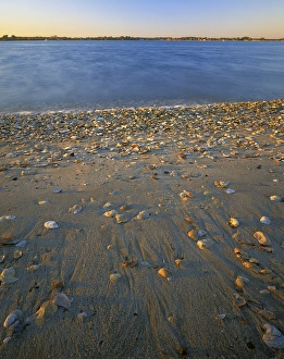 Images Dated 25th June 2013: USA, Virginia, Chesapeak Bay, Shore at Sunset