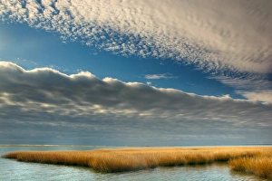 Virginia Prints: USA, Virginia. Cloudy scenic on Chincoteague Island