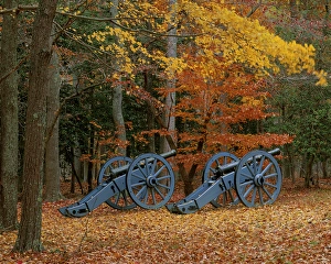 Images Dated 20th March 2013: USA, Virginia, Colonial National Historic Park, French Artillery at Yorktown