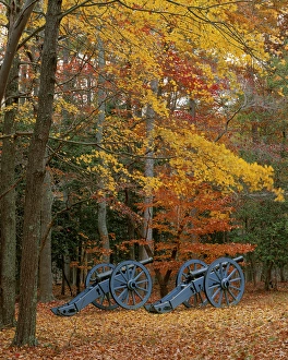 Cannon Prints: USA, Virginia, Colonial National Historic Park, French Artillery at Yorktown