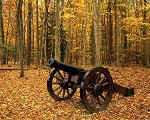 Cannon Prints: USA, Virginia, Colonial National Historical Park, Cannon at Yorktown