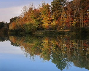 USA, Virginia, Fairfax County, Longford Lake