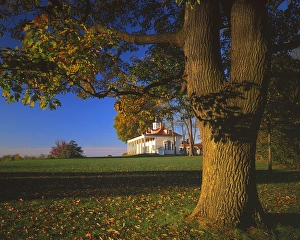 Mt Vernon Prints: USA, Virginia, Fairfax County, Oak and Mt. Vernon