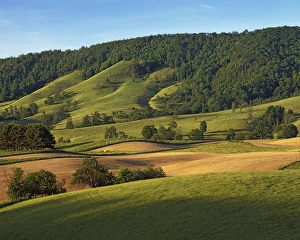 USA, Virginia, Fields of Burkes Garden