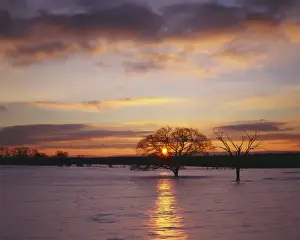 USA, Virginia, Frederick County, Sunrise after ice storm