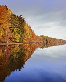 USA, Virginia, Great Dismal Swamp National Wildlife Refuge, Lake Drummond