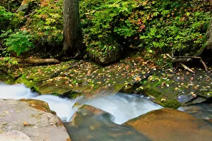 Images Dated 8th October 2006: USA, Virginia, Jefferson National Forest, Roaring Run, Waterfall with Fall colors