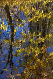 Images Dated 24th October 2014: USA, Virginia, McLean. Scenic in Great Falls State Park