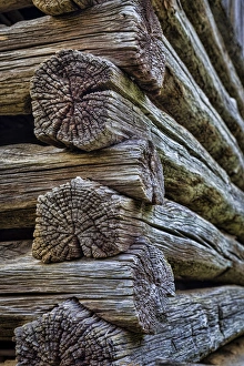 Cabin Prints: USA, Virginia, Roanoke, Explore Park. Detail of log cabin