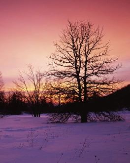 USA, Virginia, Shenandoah National Park, Sunrise at Thorton Gap