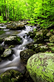 Images Dated 17th May 2009: USA, Virginia, Shenandoah National Park. Creek flows through forest