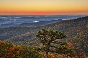 Images Dated 21st June 2021: USA, Virginia, Shenandoah National Park, Sunrise along Skyline Drive in the Fall