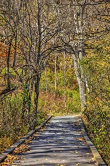 USA, Virginia, Shenandoah National Park, fall color in the park