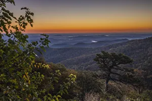 Images Dated 21st June 2021: USA, Virginia, Shenandoah National Park, Sunrise along Skyline Drive in the Fall