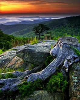 Images Dated 7th June 2009: USA, Virginia, Shenandoah National Park. Sunrise view of park from Skyline Drive