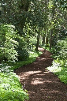 Images Dated 1st May 2012: USA, WA, Bainbridge Island. Bloedel Reserve has hiking trails throughout its 250 acres