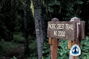 Images Dated 2nd December 2004: USA, WA, Gifford Pinchot NF. Pacific Crest Trail sign