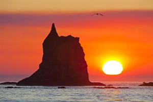 Toleak Point Prints: USA, WA, Olympic National Park. Sea stack and orange sky at sunset, near Toleak Point
