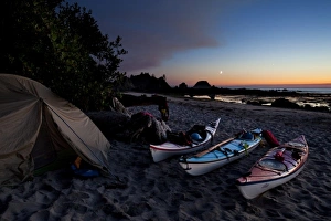 Sea Kayak Prints: USA, WA, Olympic National Park