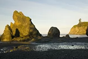 USA, WA, Olympic National Park. Sea stacks on Ruby Beach early morning with full