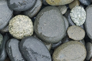 Images Dated 8th July 2009: USA, WA, Olympic NP, Rialto Beach, Cobbles on Beach