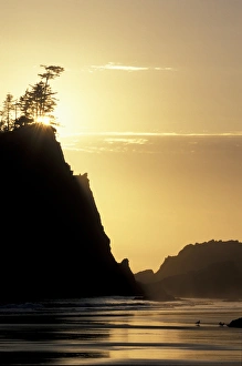 Images Dated 28th January 2004: USA, WA, Olympic NP, Second Beach. Seastacks and reflections in Pacific Ocean
