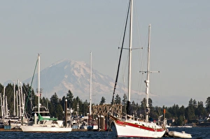 Images Dated 3rd September 2012: USA, WA, Poulsbo. Moorage Poulsbo marina in Liberty Bay with Mt Rainier looming